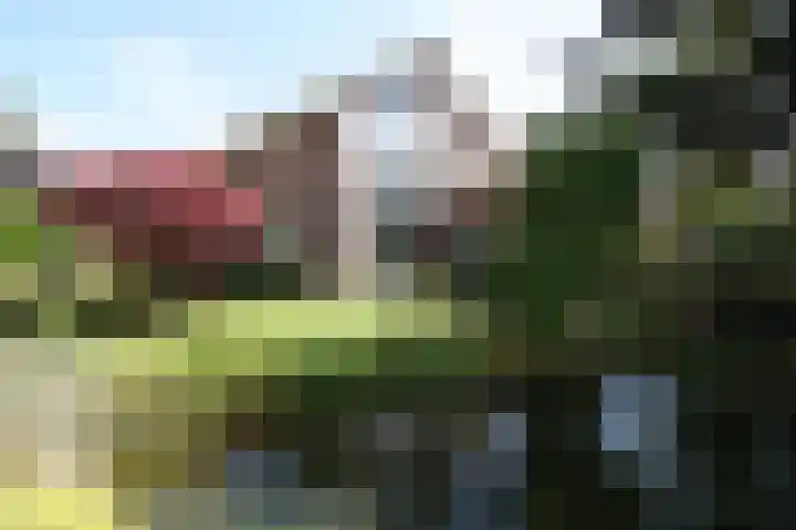 van Ghernaerstraat 5 Ootmarsum thumbnail 29