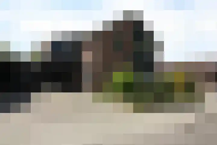 van Ghernaerstraat 5 Ootmarsum thumbnail 33