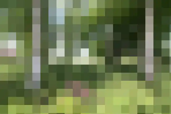 van Ghernaerstraat 5 Ootmarsum thumbnail 35