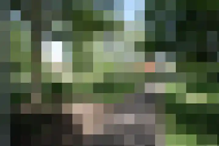 van Ghernaerstraat 5 Ootmarsum thumbnail 37