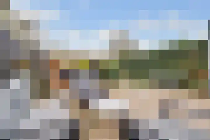 van Gheselhof 5 Zeist thumbnail 11