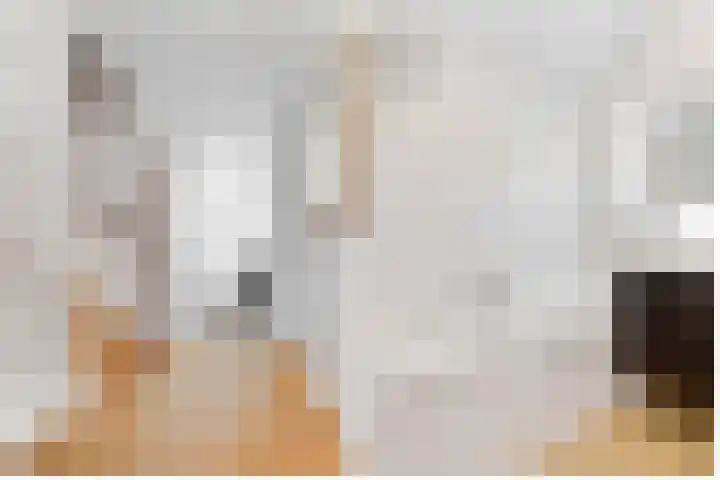 van Gheselhof 5 Zeist thumbnail 17