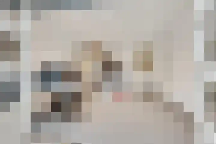 van Gheselhof 5 Zeist thumbnail 25