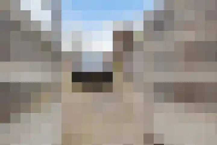 van Gheselhof 5 Zeist thumbnail 26