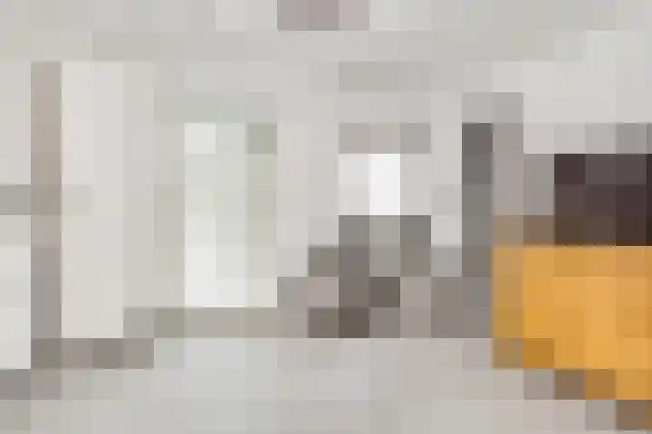 van Gheselhof 5 Zeist thumbnail 28
