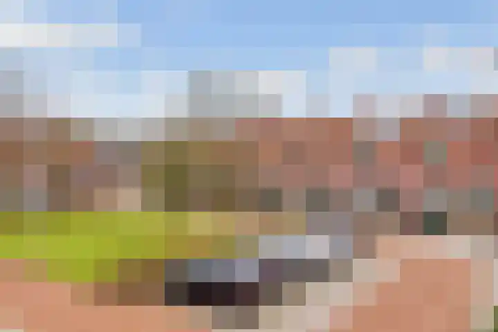 van Gheselhof 5 Zeist thumbnail 31