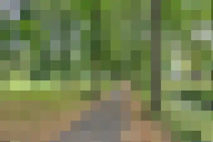 van Gheselhof 5 Zeist thumbnail 43
