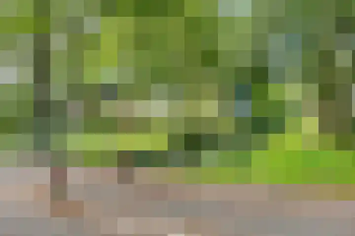 van Gheselhof 5 Zeist thumbnail 44