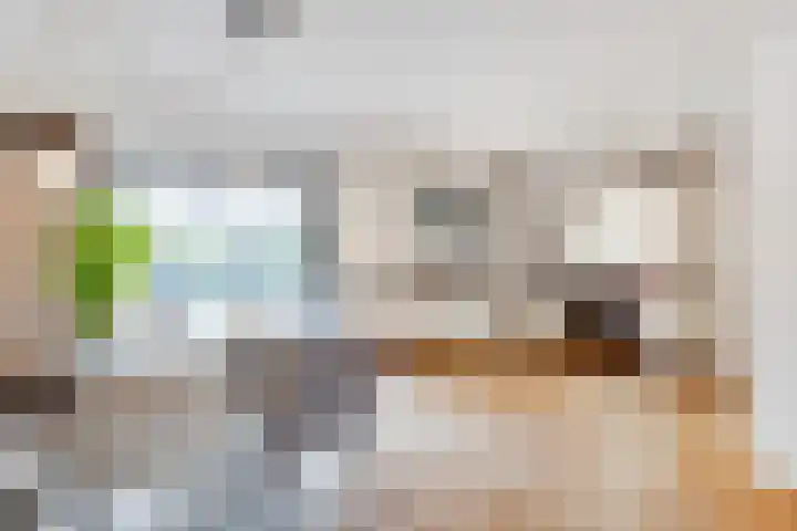 van Gheselhof 5 Zeist thumbnail 7