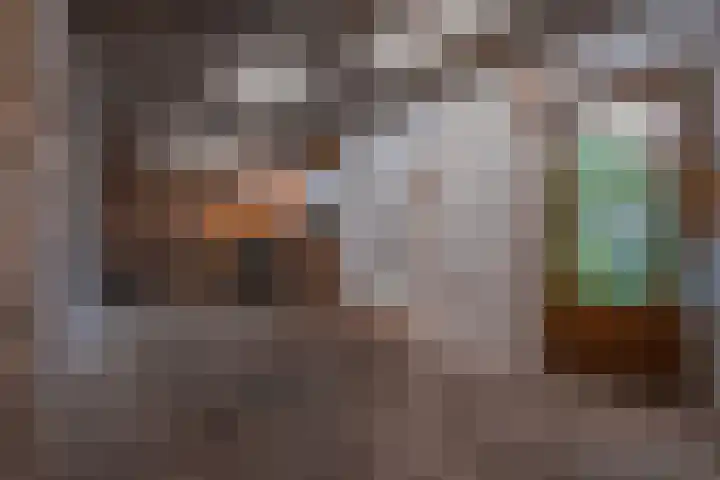 van Ghoorstraat 14 Haelen thumbnail 25