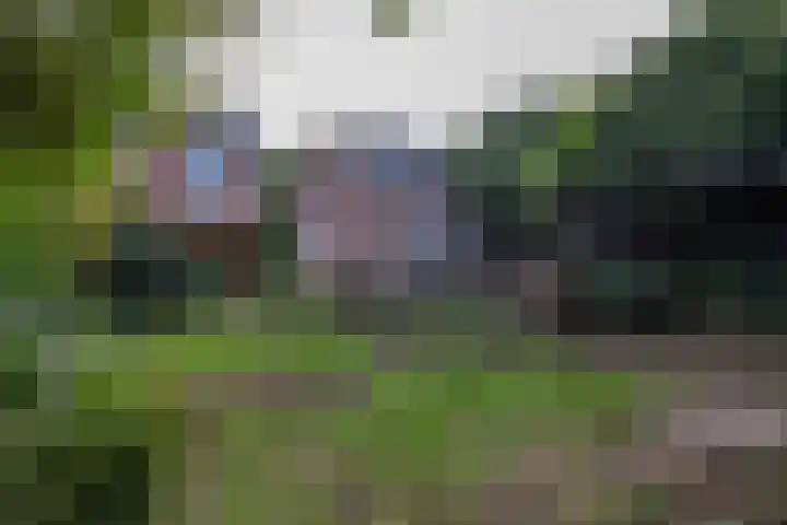 van Ghoorstraat 14 Haelen thumbnail 27