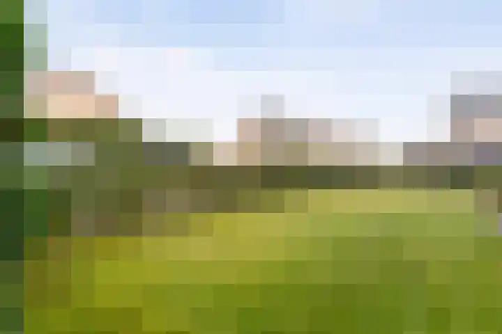 van Giffenstraat 23 Coevorden thumbnail 41