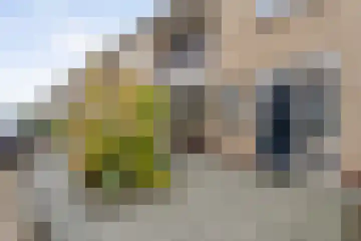 van Giffenstraat 23 Coevorden thumbnail 6