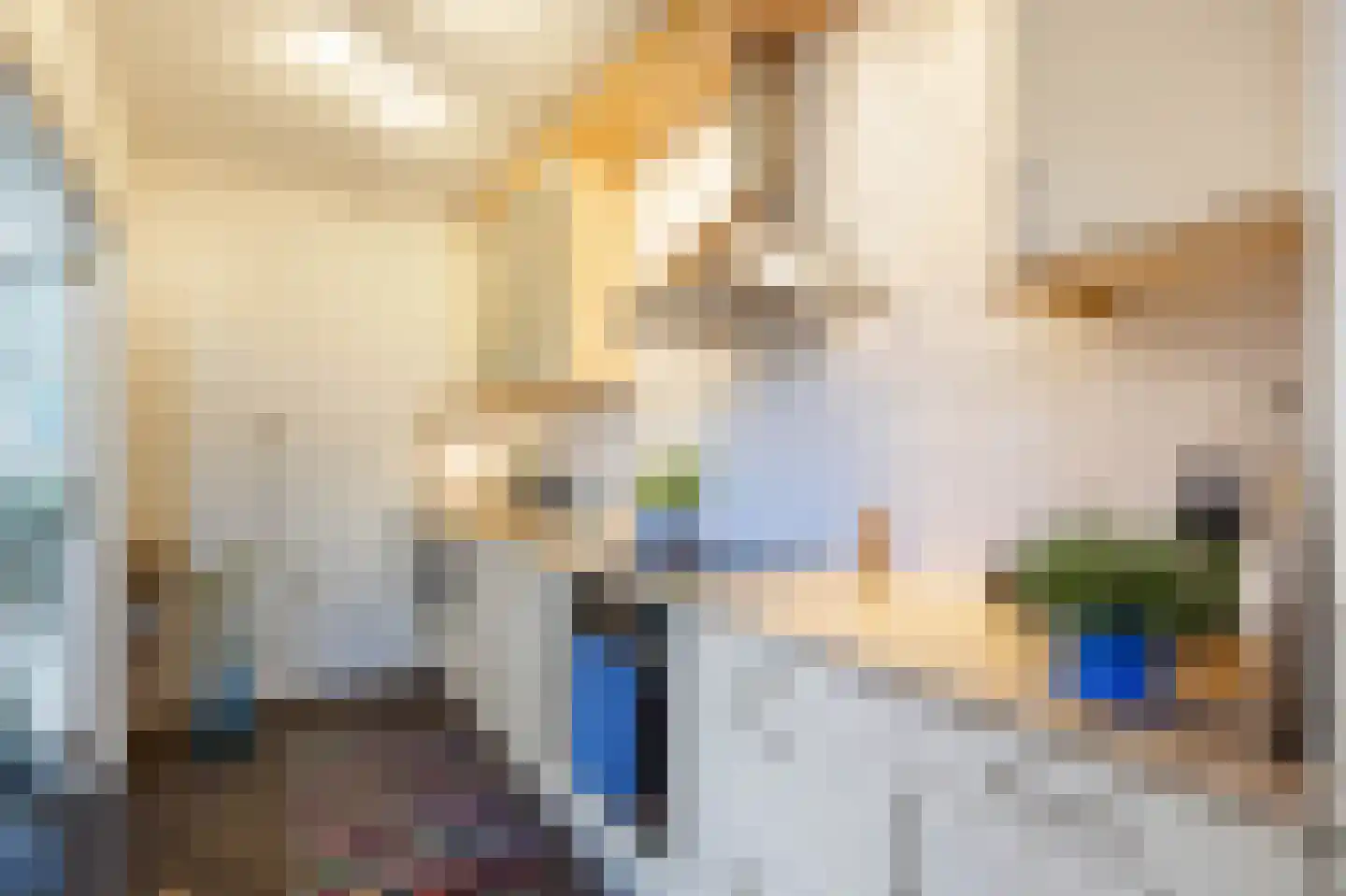 van Giffenstraat 48 Ezinge thumbnail 22