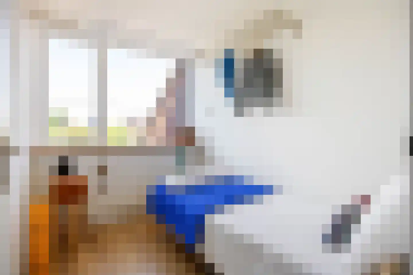 van Giffenstraat 48 Ezinge thumbnail 28
