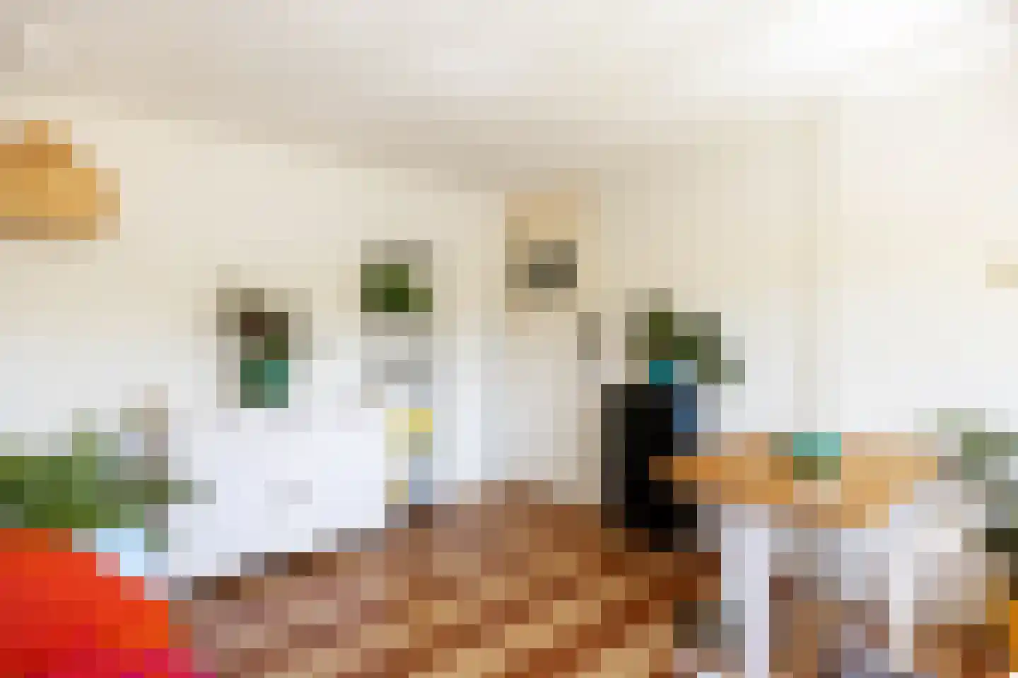 van Giffenstraat 48 Ezinge thumbnail 33