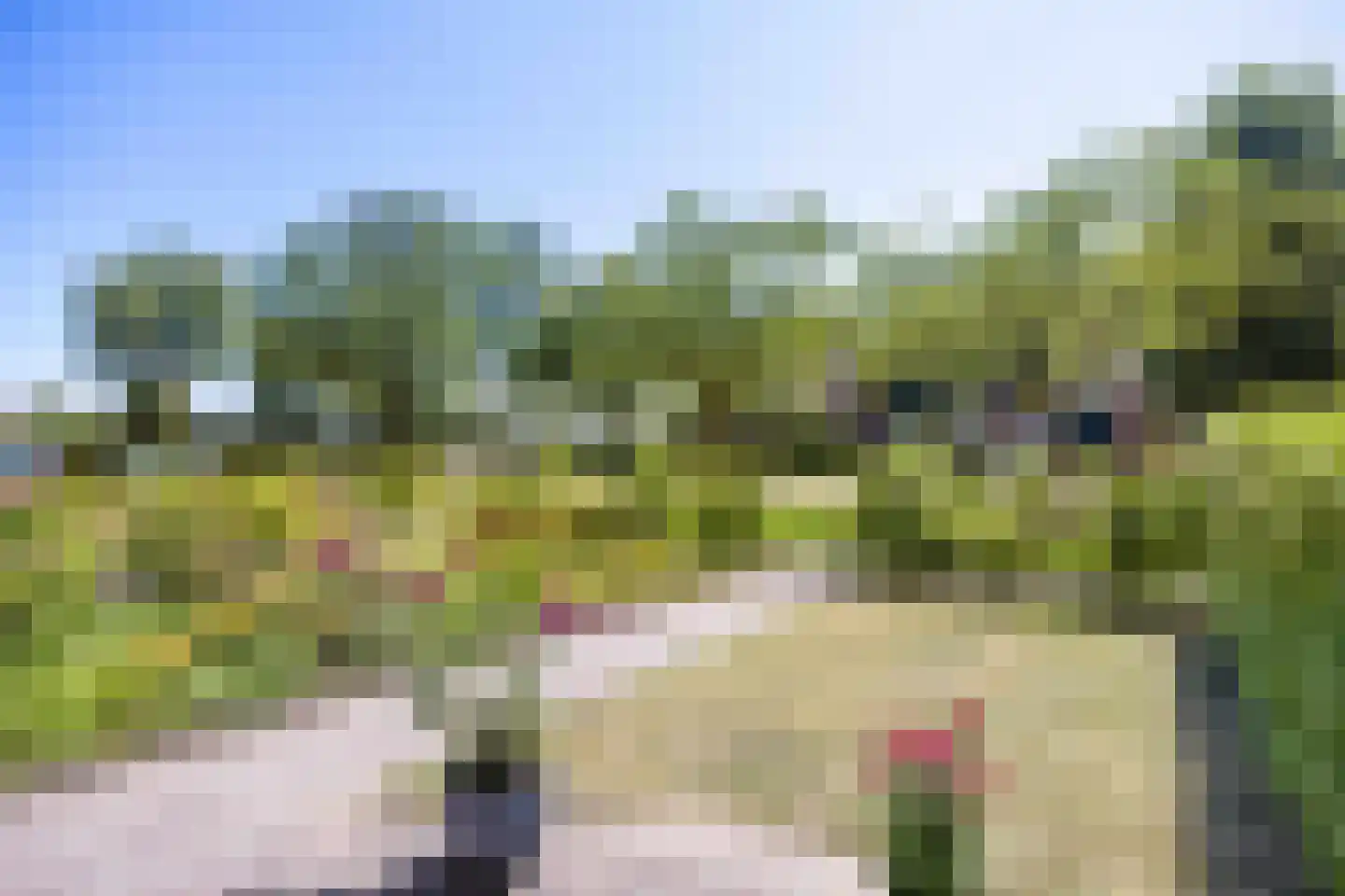 van Giffenstraat 48 Ezinge thumbnail 4
