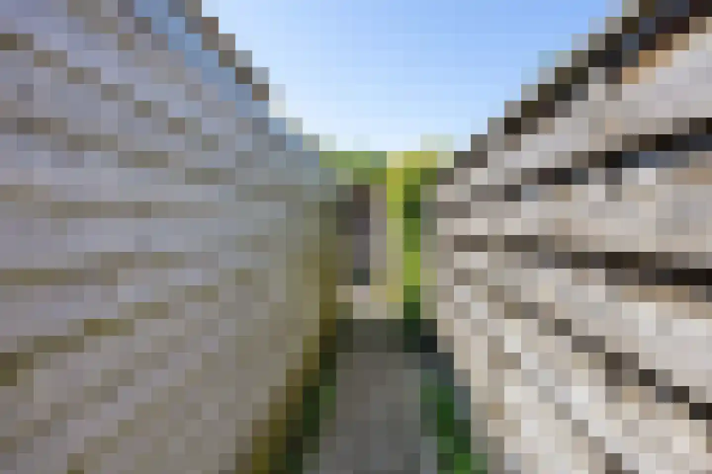 van Giffenstraat 48 Ezinge thumbnail 42