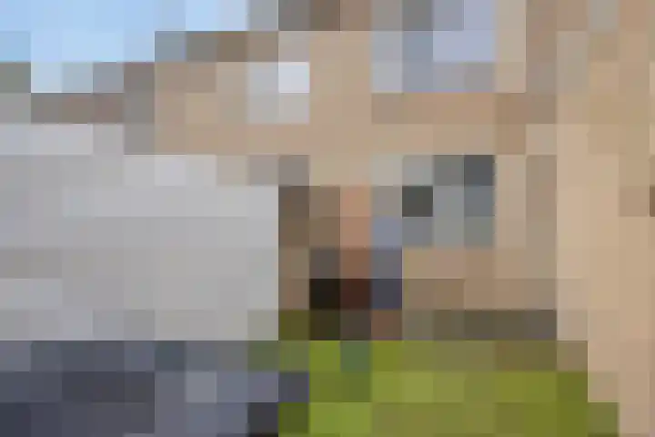 van Giffenstraat 8 Coevorden thumbnail 31