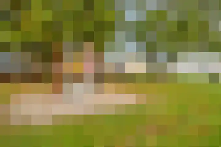 van Giffenstraat 8 Coevorden thumbnail 34