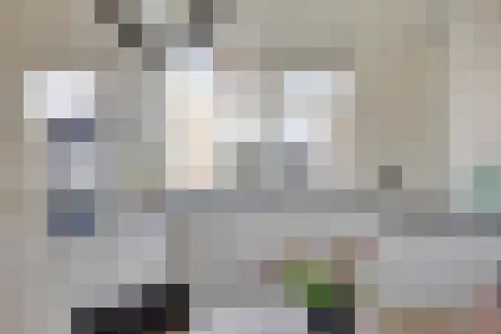 van Giffenstraat 8 Coevorden thumbnail 9