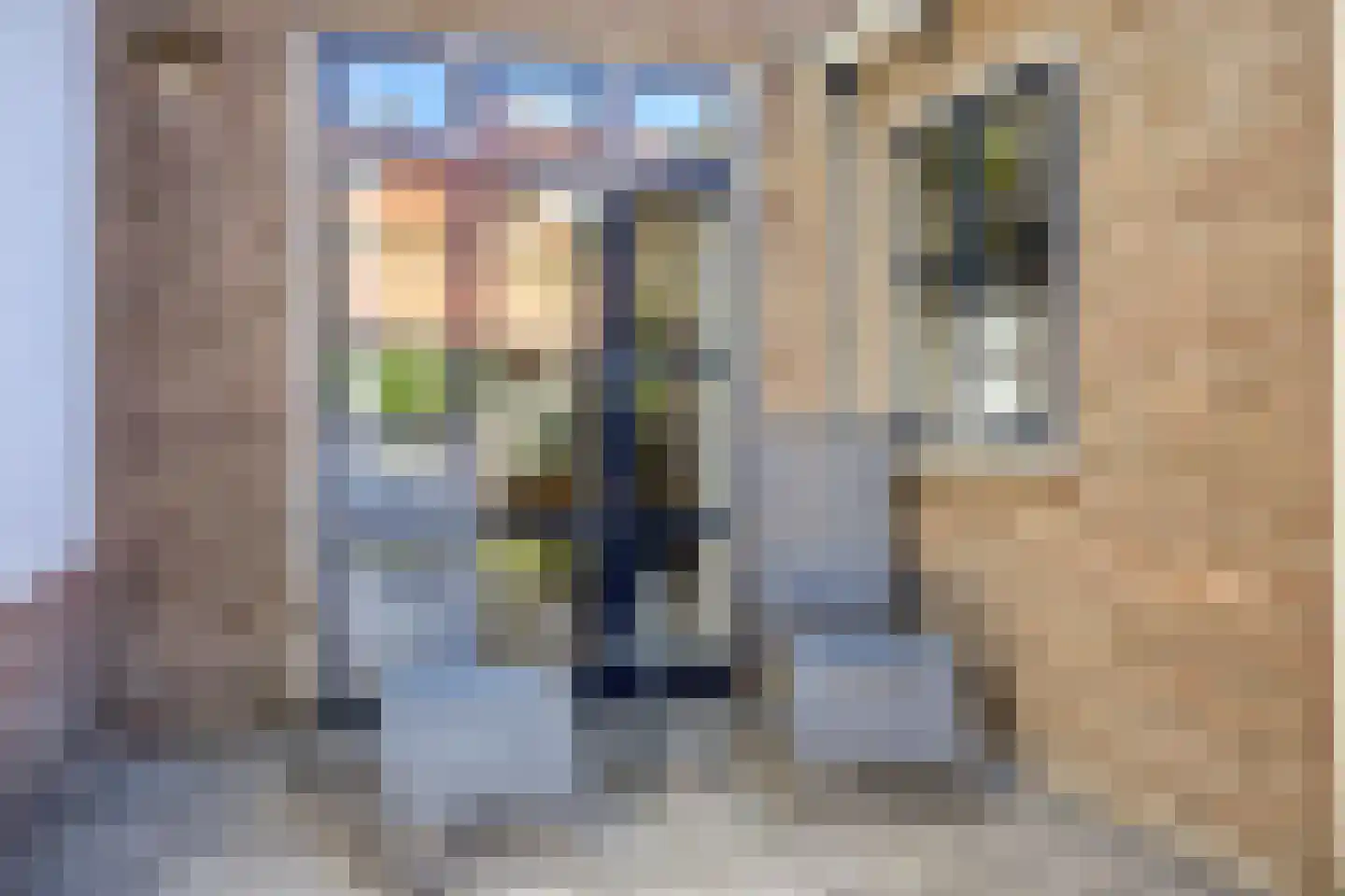 Van Gilsstraat 8 's-Hertogenbosch thumbnail 25