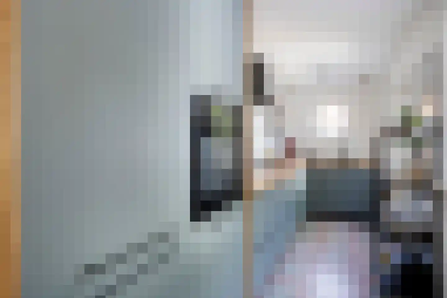 Van Gilsstraat 8 's-Hertogenbosch thumbnail 8
