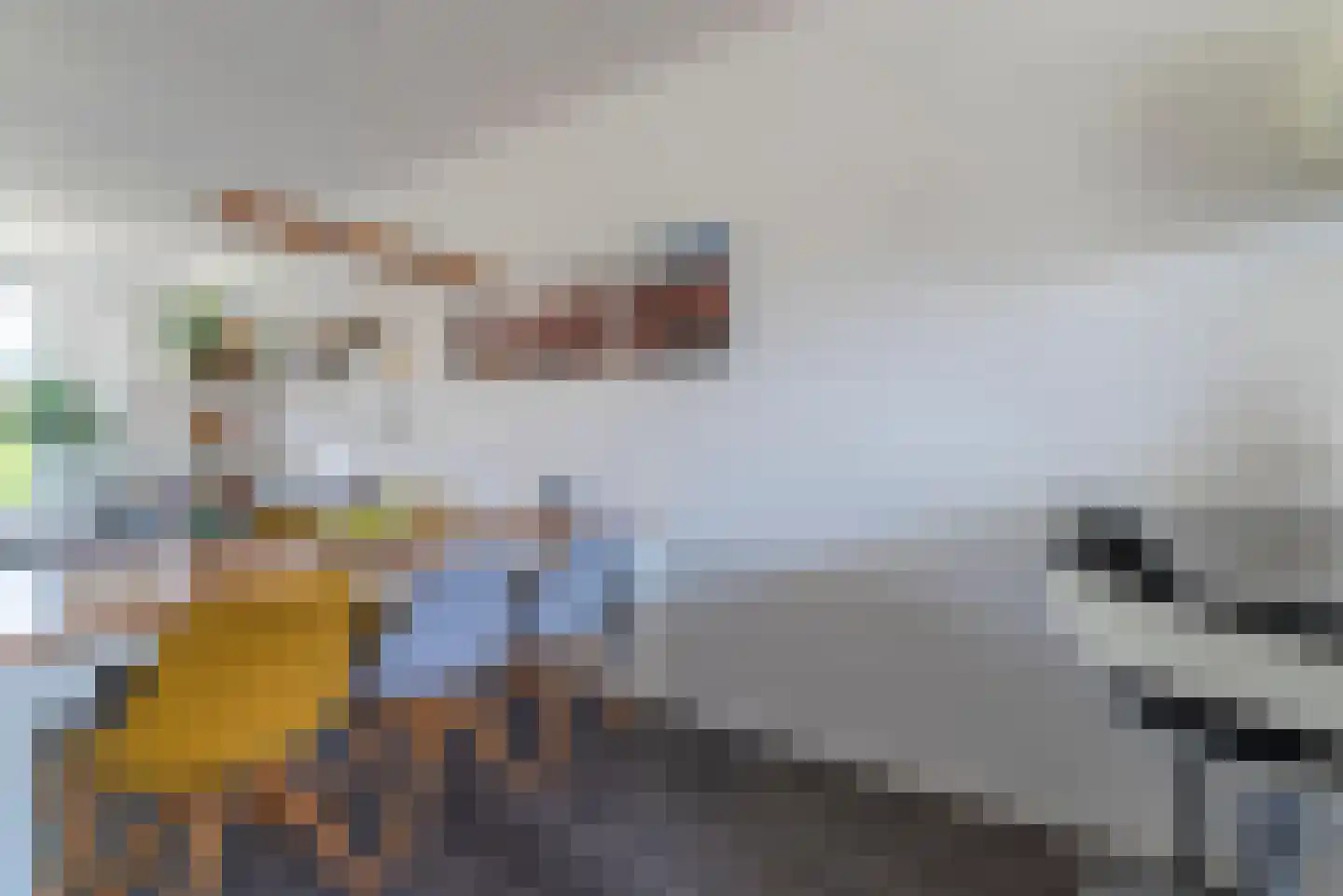Van Ginkelerf 11 Veenendaal thumbnail 18