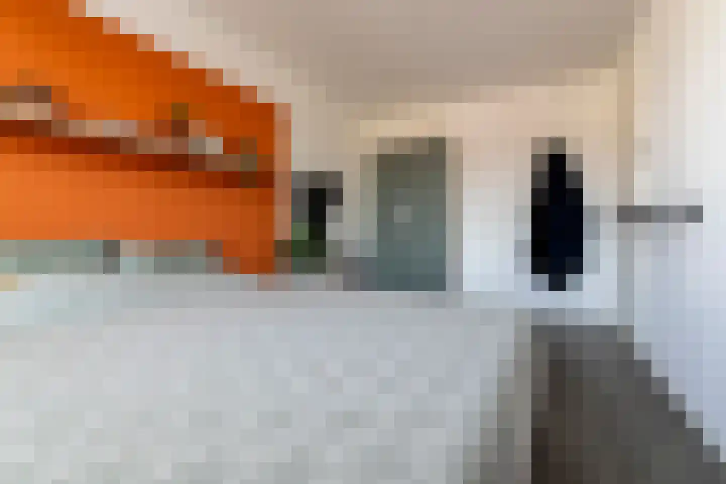 Van Ginkelerf 11 Veenendaal thumbnail 24