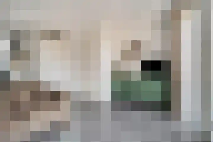 Van Ginkelerf 13 Veenendaal thumbnail 11