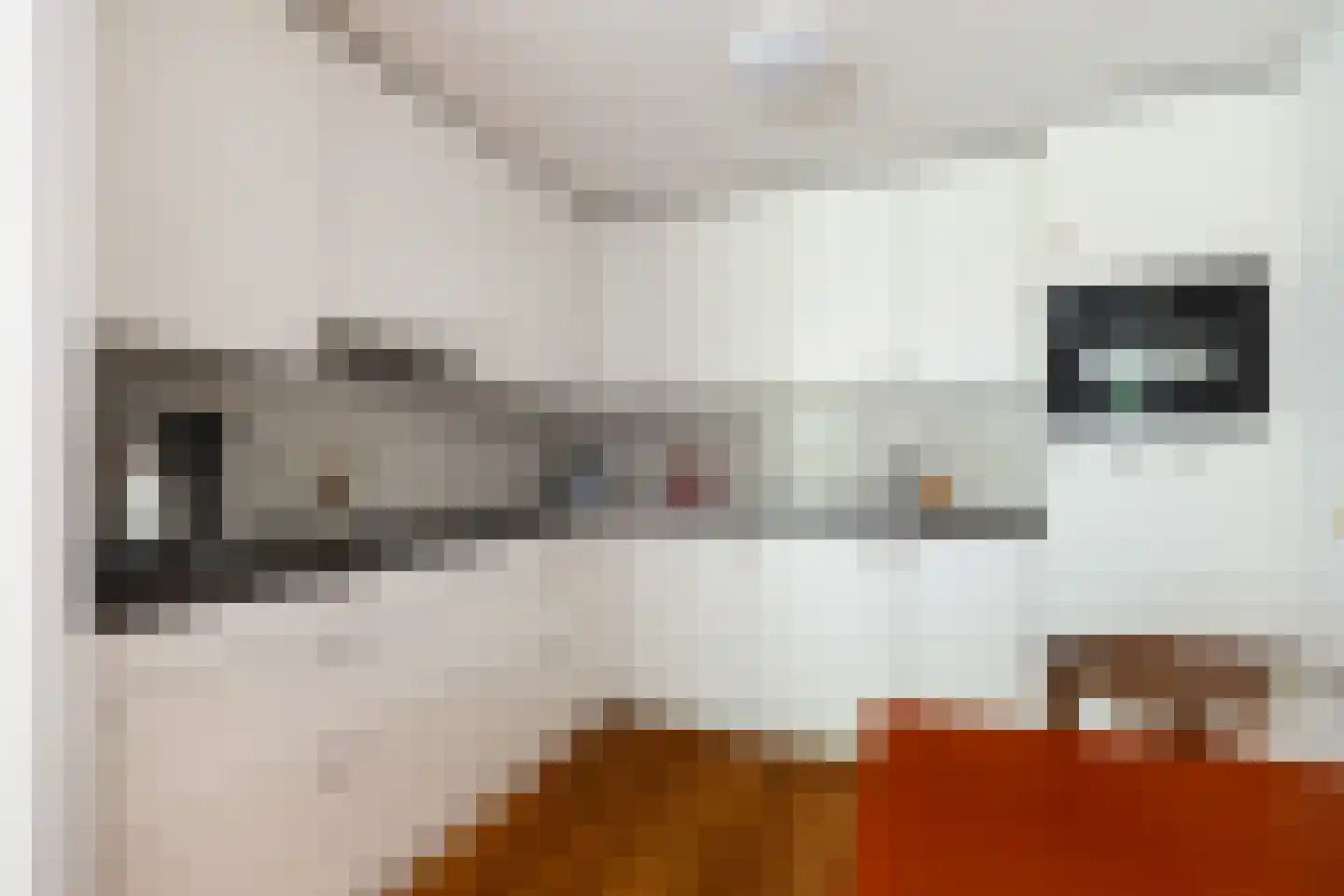 Van Ginkellaan 15 Woudenberg thumbnail 15