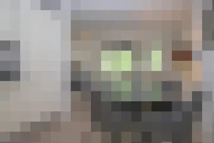 Van Ginkellaan 17 Woudenberg thumbnail 13