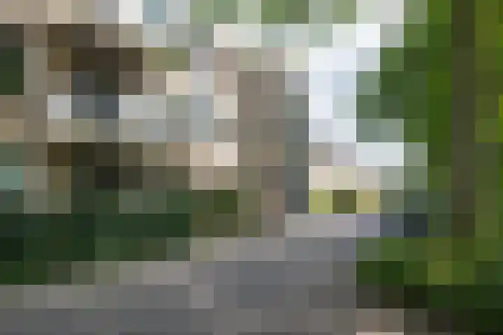 Van Ginkellaan 17 Woudenberg thumbnail 25