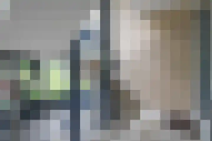 Van Ginkellaan 17 Woudenberg thumbnail 7