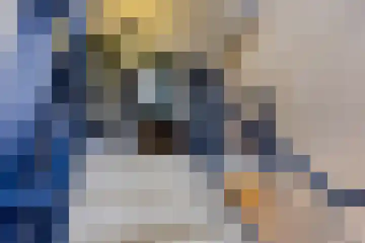 Van Ginkellaan 19 Woudenberg thumbnail 24