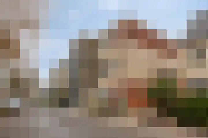 Van Ginkellaan 19 Woudenberg thumbnail 25