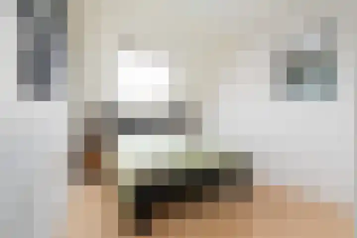 Van Ginkellaan 31 Woudenberg thumbnail 35