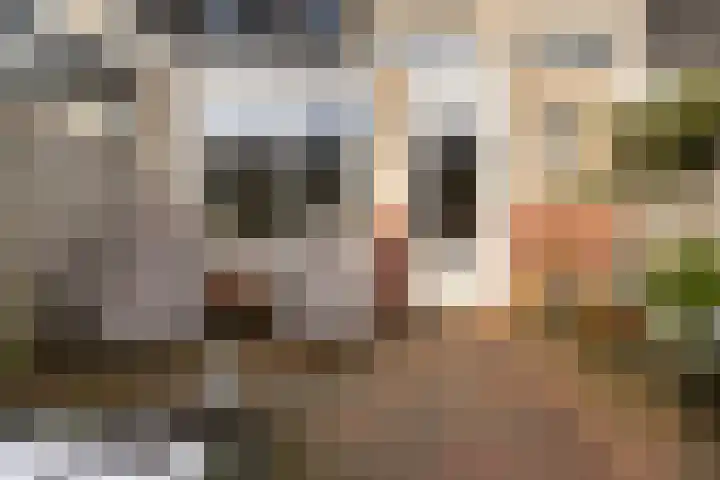 Van Ginkellaan 31 Woudenberg thumbnail 45