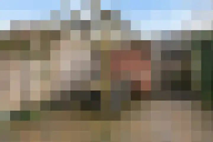Van Ginkellaan 31 Woudenberg thumbnail 47