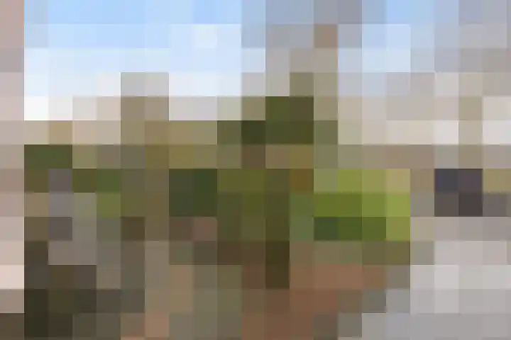 Van Ginkellaan 31 Woudenberg thumbnail 8