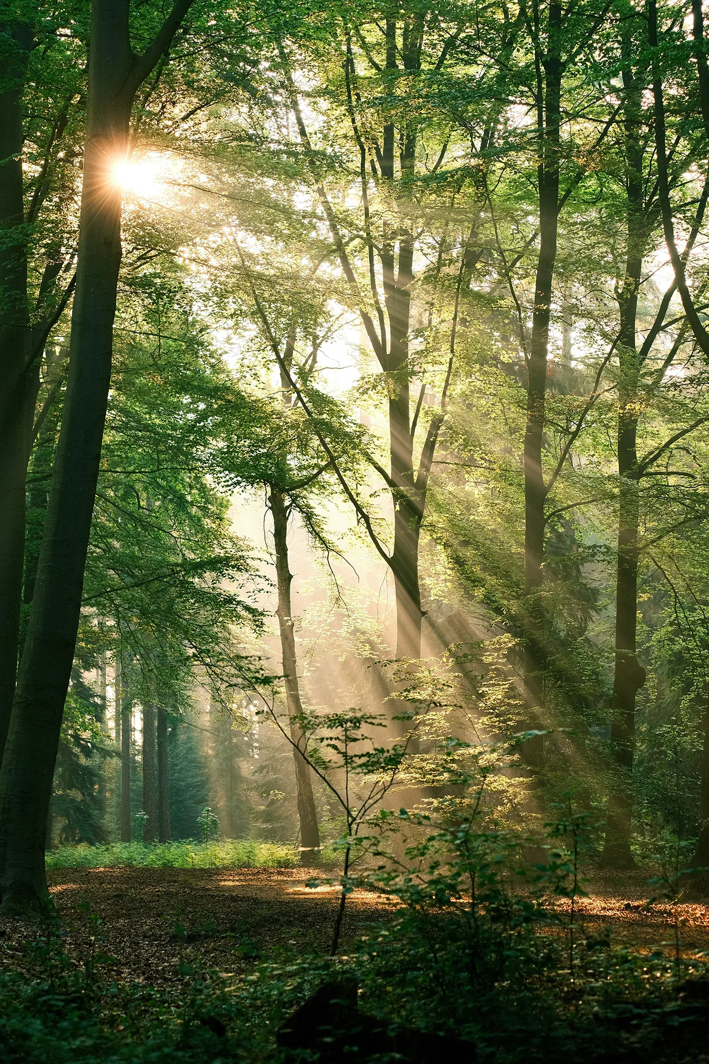 Photo d'équipe de Van Gisbergen Makelaardij