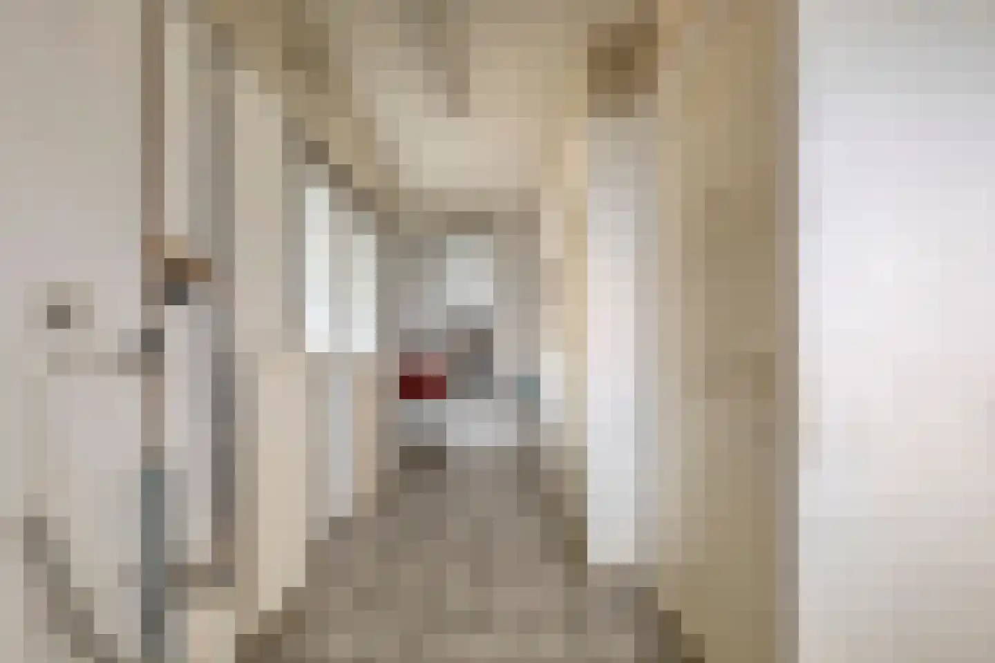 van Gistellelaan 9 Axel thumbnail 16