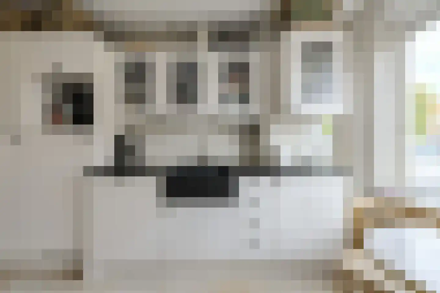 Van Gistelstraat 29 Oosterhout thumbnail 11