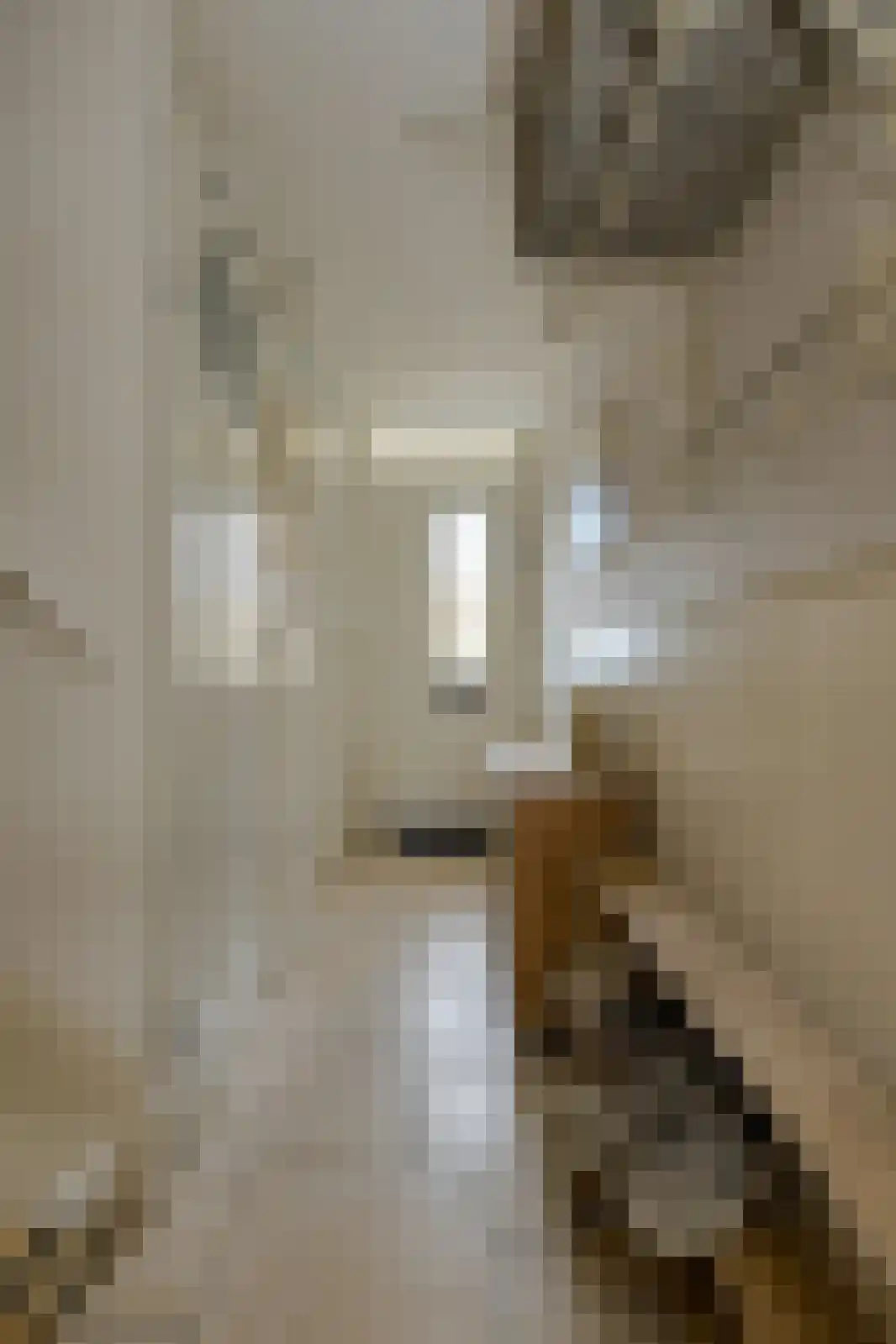 Van Gistelstraat 29 Oosterhout thumbnail 16