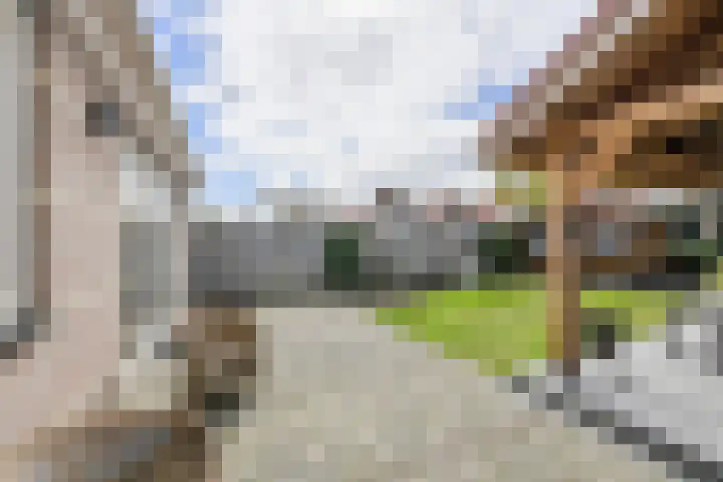 Van Gistelstraat 29 Oosterhout thumbnail 34