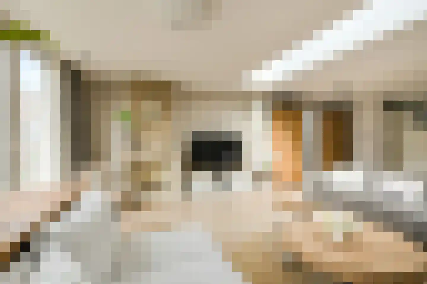 Van Gistelstraat 29 Oosterhout thumbnail 4