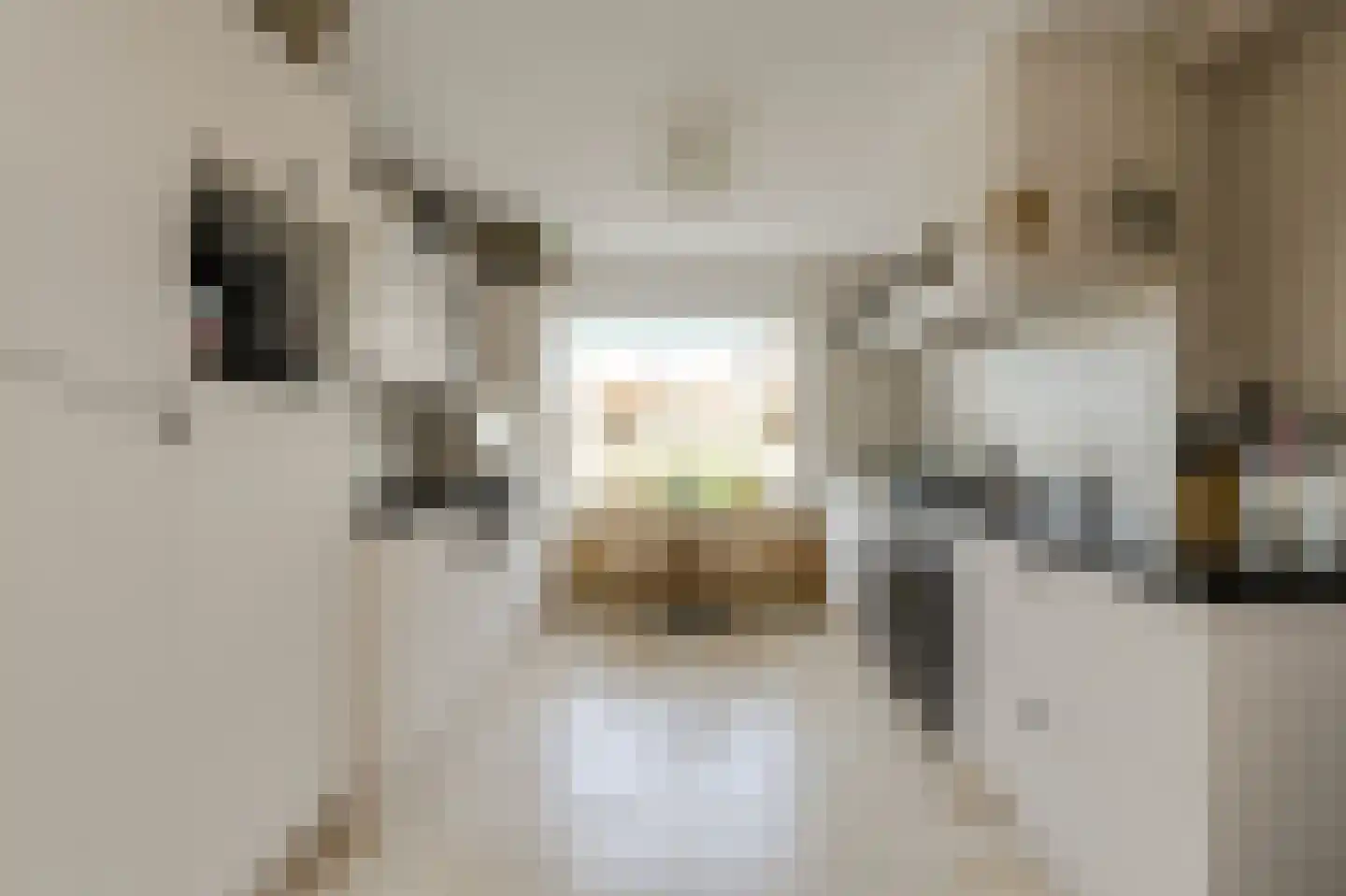 Van Gistelstraat 29 Oosterhout thumbnail 9