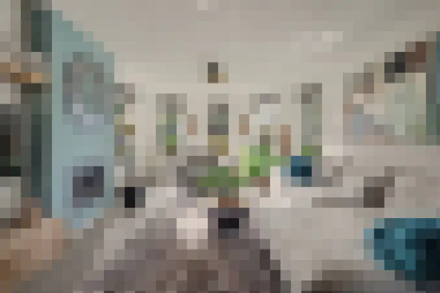 van Glabbeekstraat 16 Rijen thumbnail 19