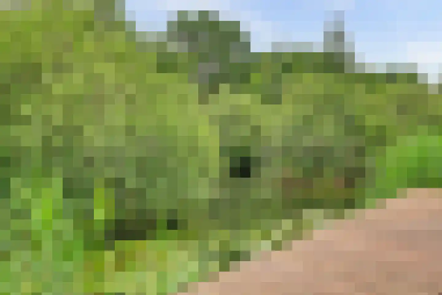 van Glabbeekstraat 34 Rijen thumbnail 6