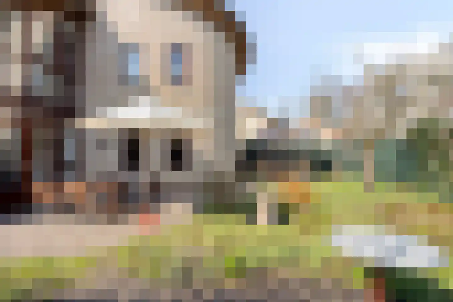 van Glabbeekstraat 4 Rijen thumbnail 34